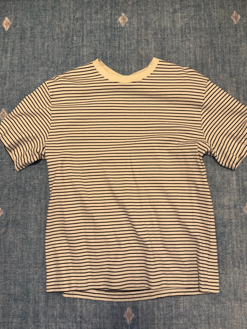 Aritzia Pegasus Cream and Black Striped Short-Sleeve T-Shirt